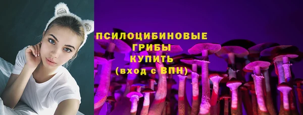 2c-b Покачи