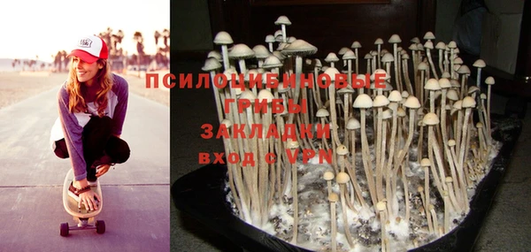 2c-b Покачи
