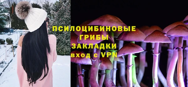 2c-b Покачи