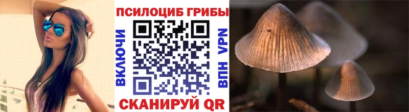 дарнет шоп  Кириллов  ссылка на мегу рабочий сайт  Галлюциногенные грибы мицелий 